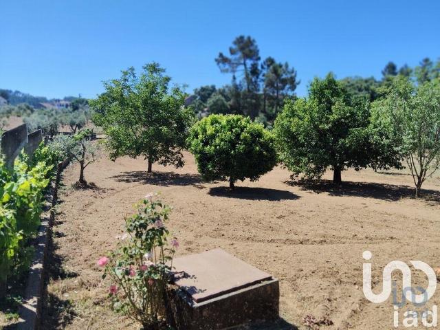 Terreno venda em Castelo Branco, Cumeada