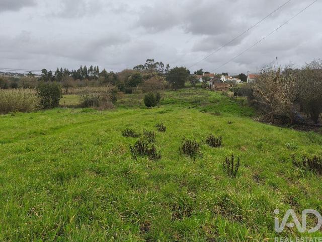 Terreno venda em Quinta do Almeida, Alcobaça