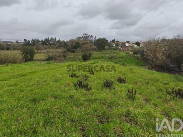 Terreno venda em Alcobaça, Leiria
