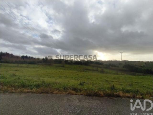 Terreno venda em Alcobaça, Leiria