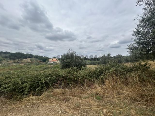 Terreno venda em Chão das Maias, Tomar