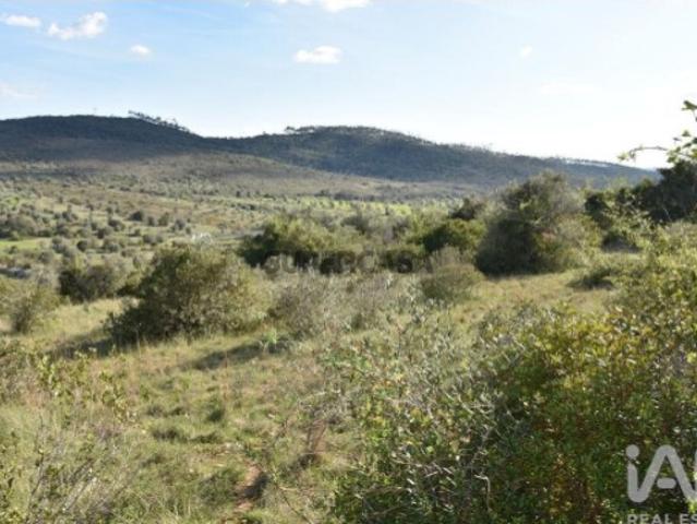 Terreno venda em Rego Da Murta, Santarém