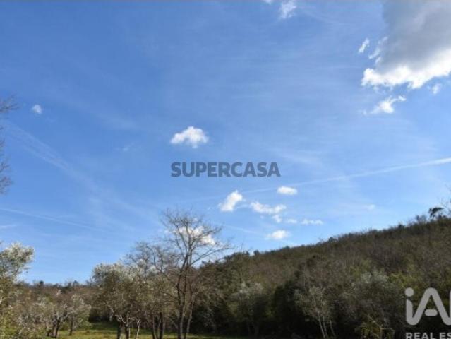 Terreno venda em Rego Da Murta, Santarém