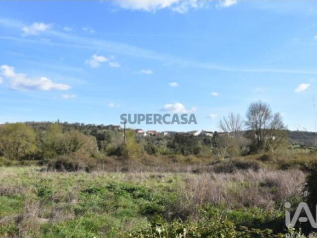 Terreno venda em Rego Da Murta, Santarém
