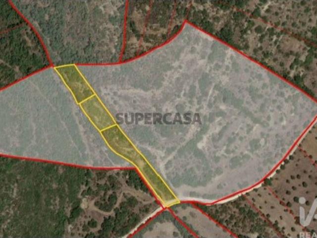 Terreno venda em Rego Da Murta, Santarém