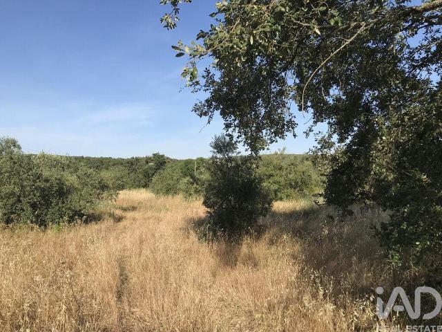 Terreno venda em Casal de Santa Iria, Rego Da Murta