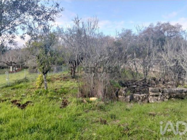 Terreno venda em Rego Da Murta, Santarém