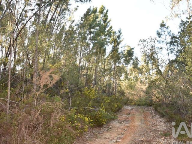 Terreno venda em Casal de Santa Iria, Rego Da Murta