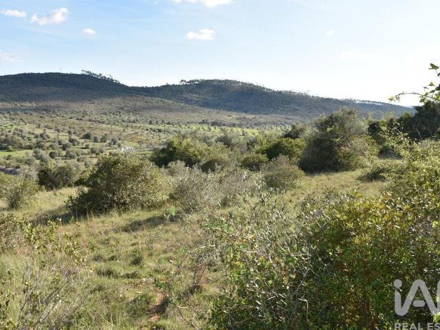 Terreno venda em Casal de Santa Iria, Rego Da Murta