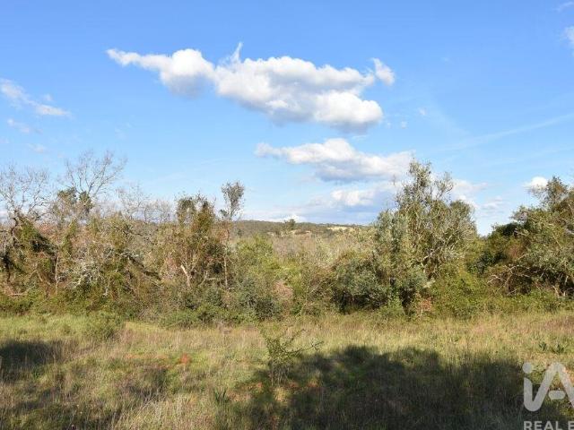 Terreno venda em Casal de Santa Iria, Rego Da Murta