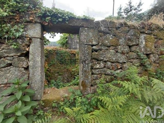 Terreno venda em Gondufe e Cortinhal, Melgaço