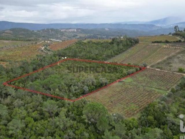 Terreno venda em Condeixa-a-nova, Coimbra