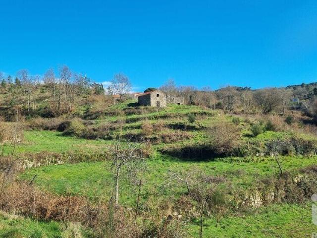 Terreno venda em Guarda, Celorico Da Beira