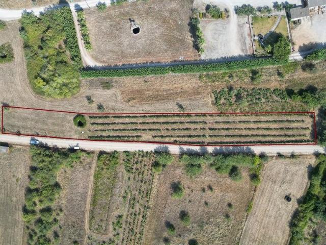 Terreno venda em Penela, Coimbra