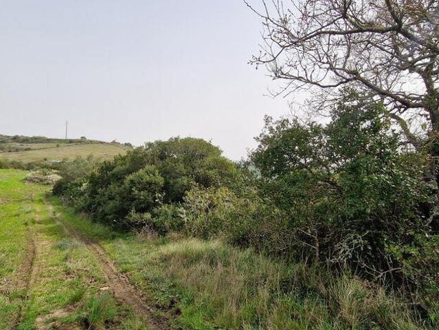 Terreno venda em Ventureira, Mafra