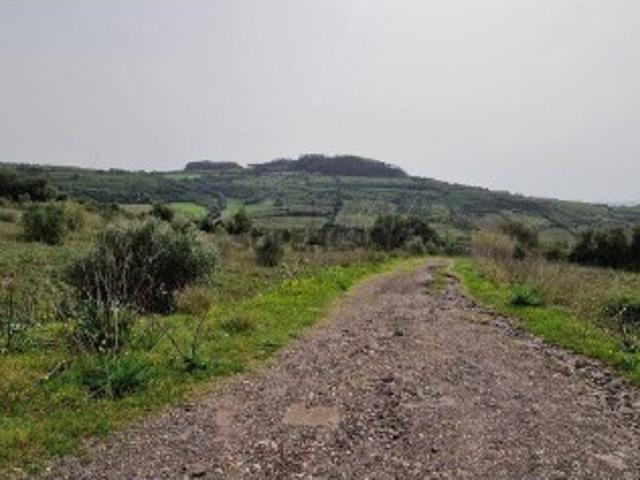 Terreno venda em Mafra, Lisboa