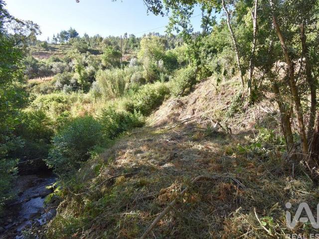 Terreno venda em Penela, Coimbra