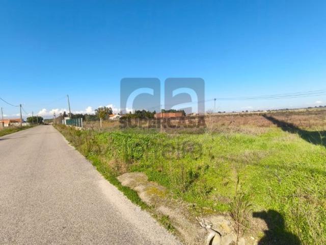 Terreno venda em Alpiarça, Santarém