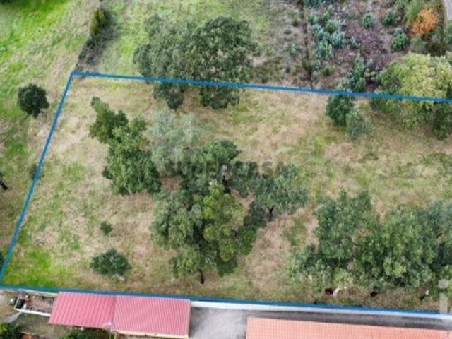 Terreno venda em Figueiró Dos Vinhos, Leiria