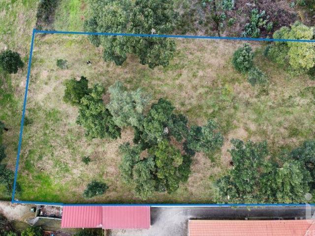 Terreno venda em Figueiró Dos Vinhos, Leiria