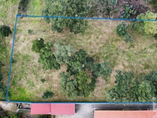 Terreno venda em Figueiró Dos Vinhos, Leiria
