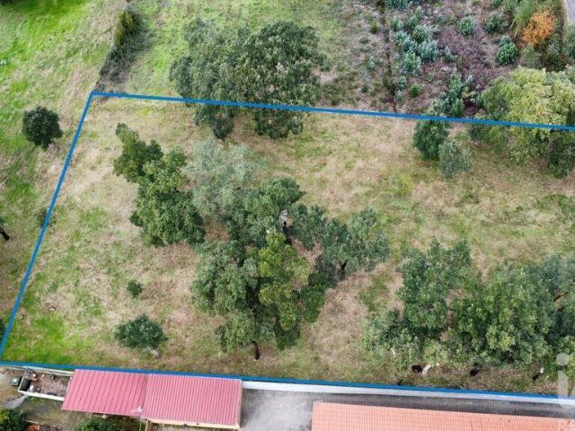 Terreno venda em Vale do Rio, Figueiró Dos Vinhos