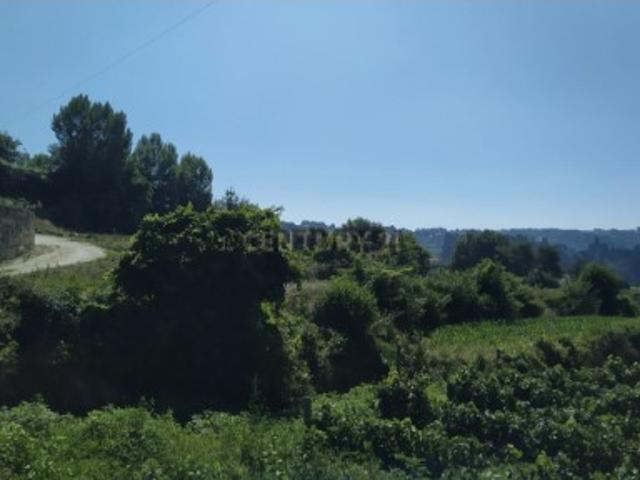 Terreno venda em Figueiró (Santiago e Santa Cristina), Amarante
