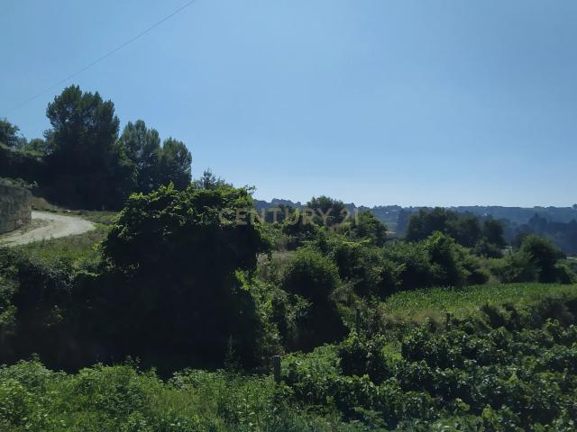 Terreno venda em Figueiró (Santiago e Santa Cristina), Amarante