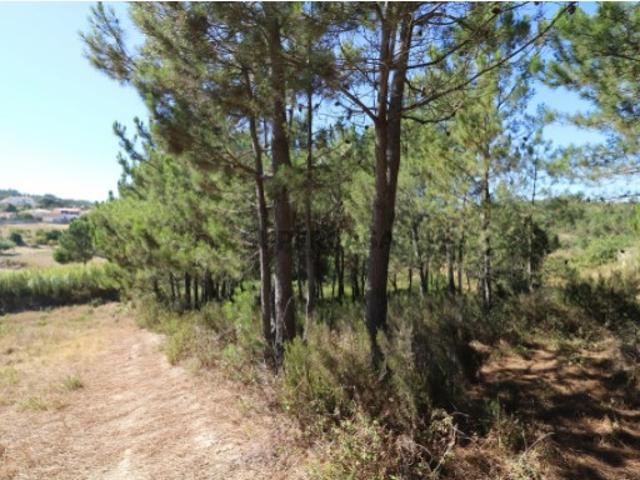 Terreno venda em Fonte Grada, Torres Vedras