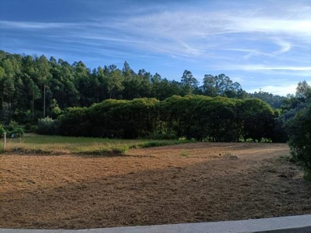 Terreno venda em Ponte De Lima Terreno venda em Ponte De Lima