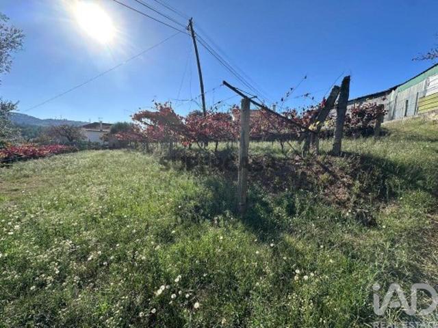 Terreno venda em Boalhosa, Viana Do Castelo