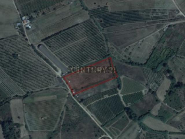 Terreno venda em Olivais, Lisboa