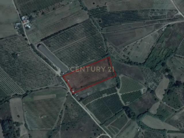 Terreno venda em Torres Vedras, Lisboa