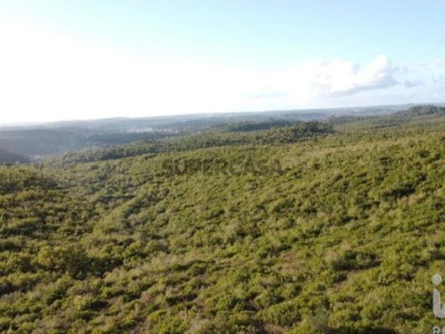 Terreno venda em Lagoa do Grou, Ourém
