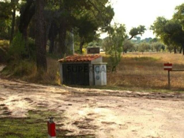 Terreno venda em Ribeira das Vinhas, Ponte De Sor