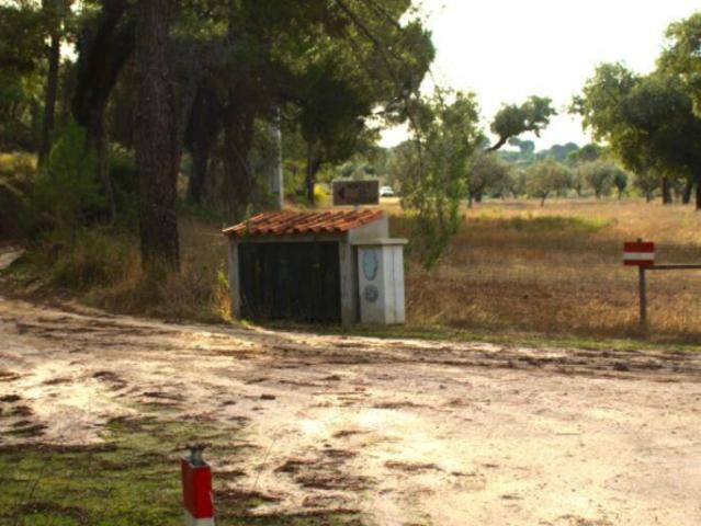 Terreno venda em Ponte De Sor, Portalegre