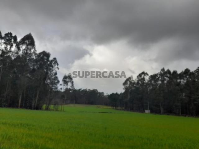 Terreno venda em Arcozelo, Braga