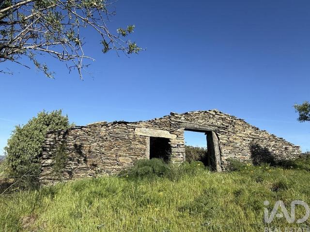 Terreno venda em Guarda, Mós