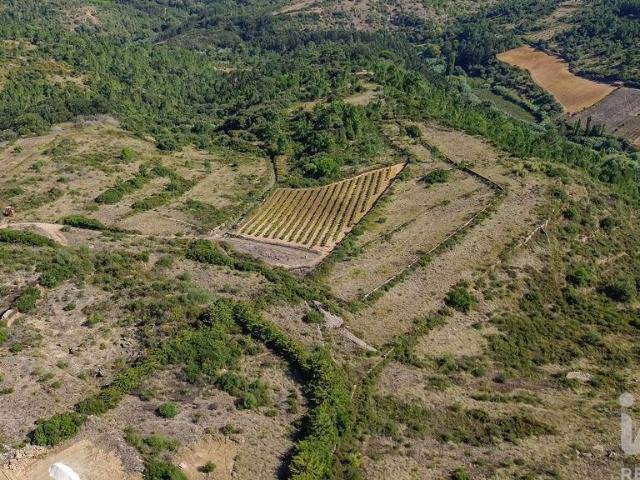 Terreno venda em Igreja Nova e Cheleiros, Mafra