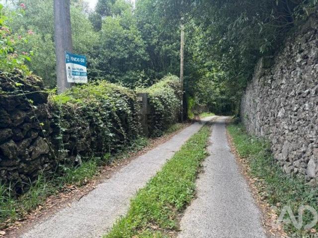 Terreno venda em Açores