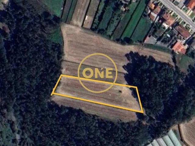 Terreno venda em A Ver-o-mar, Porto