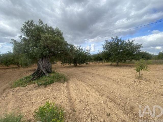 Terreno venda em Loulé, Faro