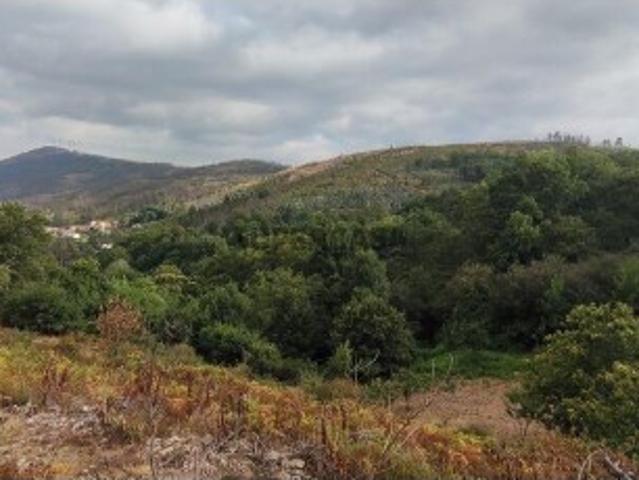 Terreno venda em Castro Daire, Viseu