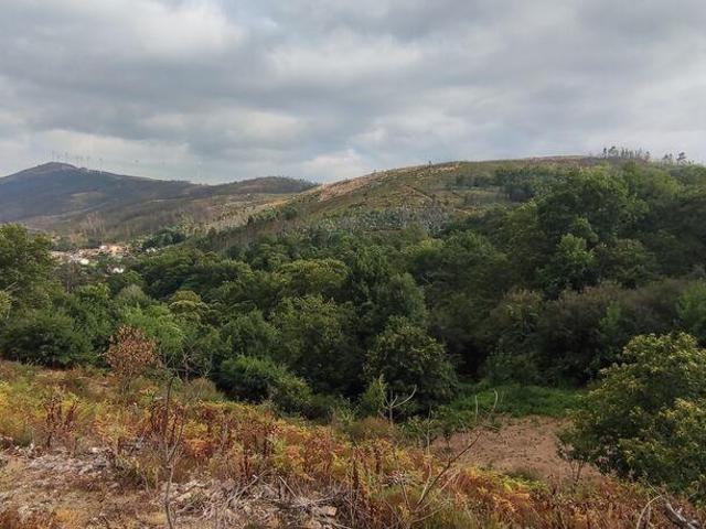 Terreno venda em Castro Daire, Viseu