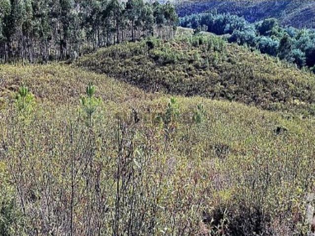 Terreno venda em Mação, Santarém