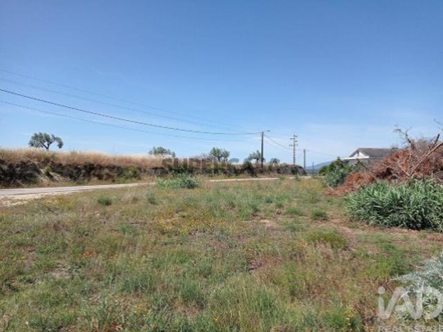 Terreno venda em Madalena e Beselga, Tomar