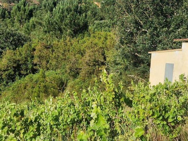 Terreno venda em Mafra, Lisboa