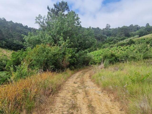 Terreno venda em Mafra, Lisboa