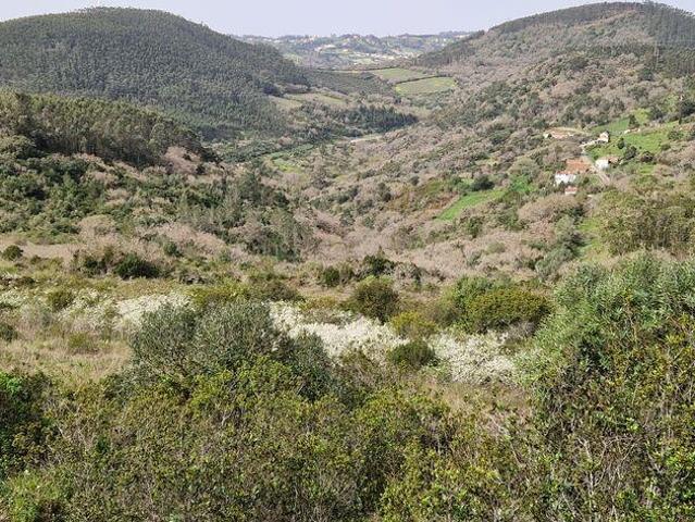 Terreno venda em Mafra, Lisboa