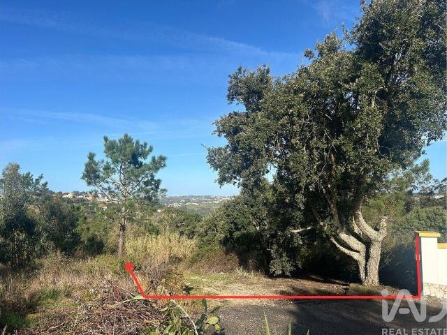 Terreno venda em Mafra, Lisboa